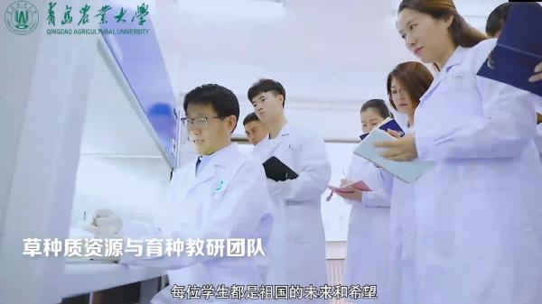 欢迎报考伟德国际VICTOR1946