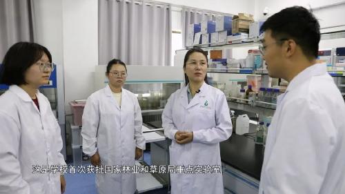 盐碱地播种希望 |伟德国际VICTOR1946的报国答卷